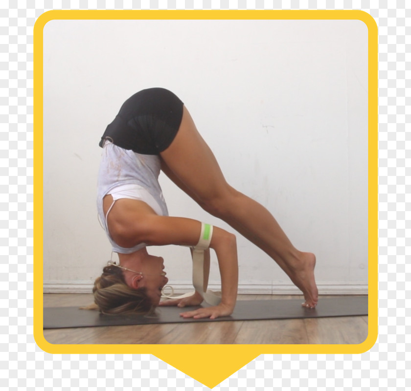 Yoga Forearm Calf Handstand Hip PNG
