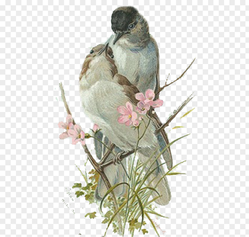 Bird Paper Swallow PNG