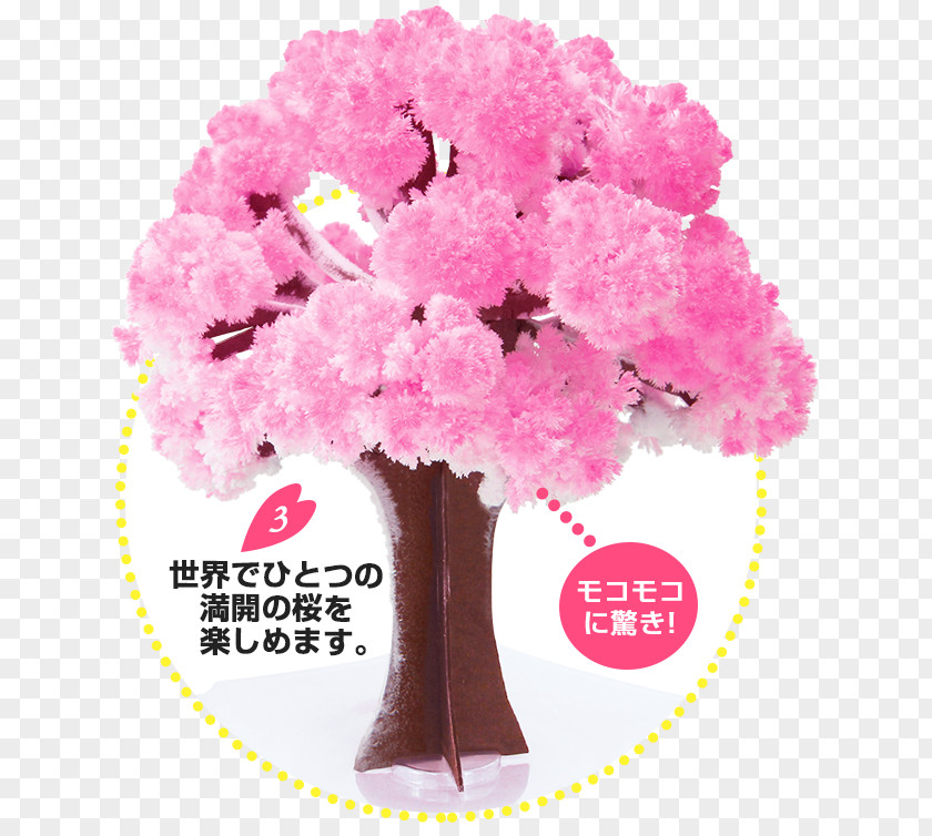 Cherry Blossom Japan Tree PNG