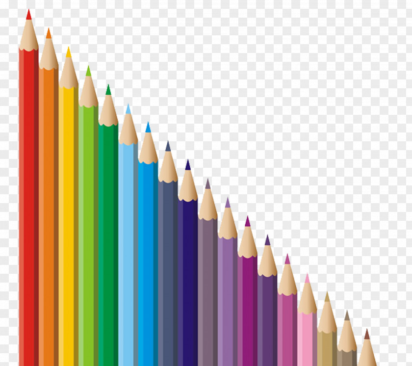 Colored Pencils Crayon Pencil PNG