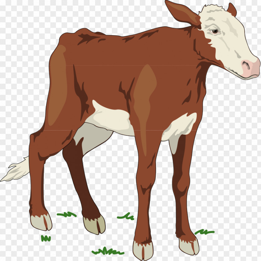 Cow Holstein Friesian Cattle Jersey Ayrshire Brown Swiss Clip Art PNG