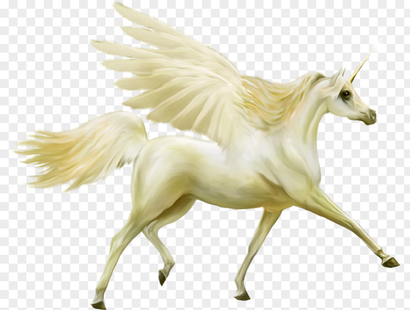 Horse Unicorn Pegasus Legendary Creature PNG