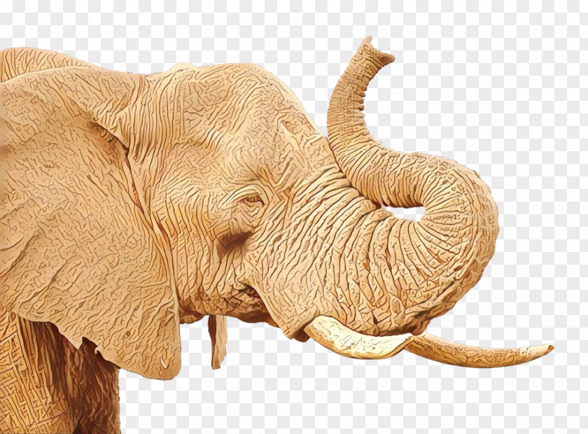 Indian Elephant African Bush Clip Art PNG