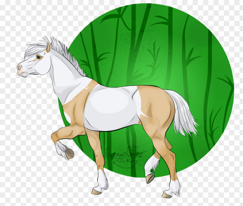 Mustang Foal Stallion Mane Mare PNG