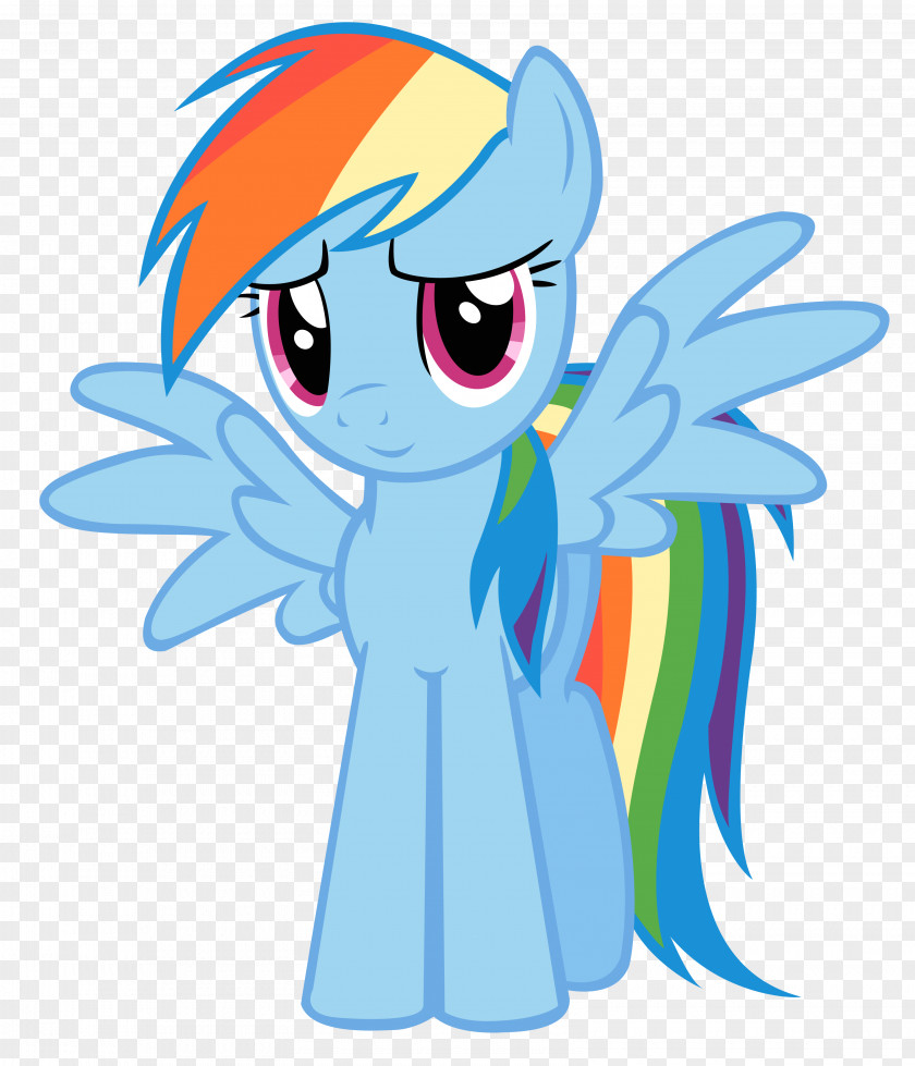 My Little Pony Winged Unicorn Rainbow Dash Pegasus PNG
