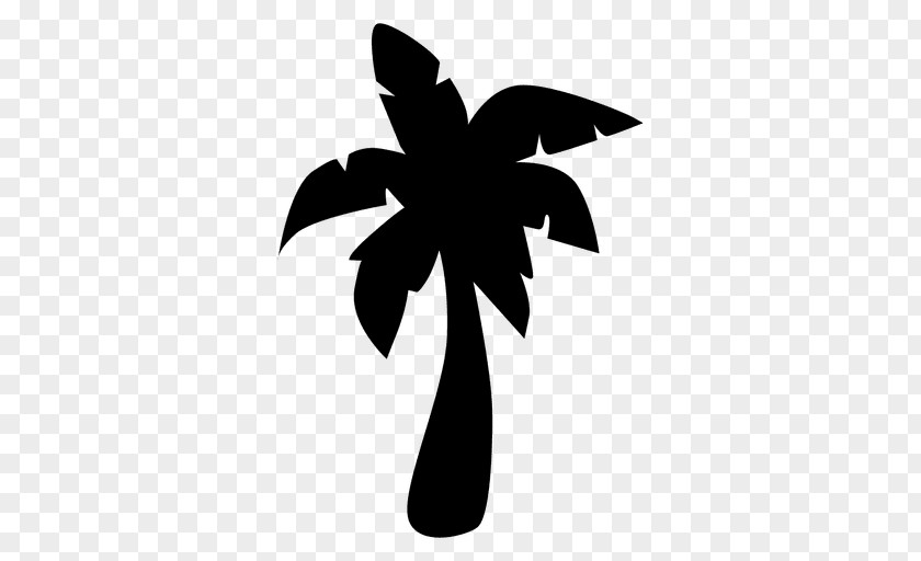 Palm Vector Arecaceae Drawing Silhouette Clip Art PNG