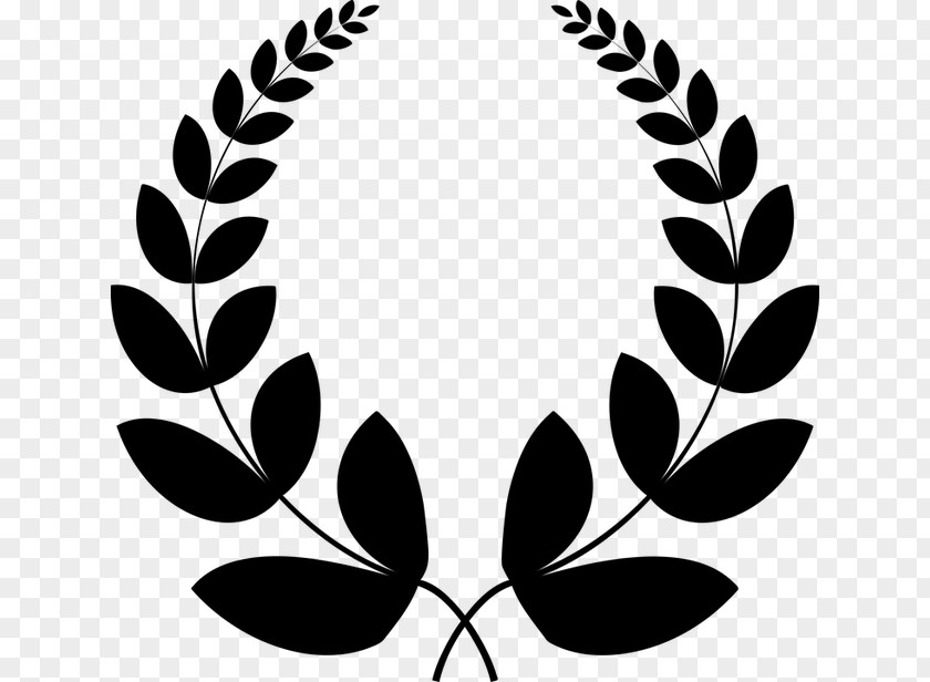 Vascular Plant Tree Leaf Black-and-white Clip Art Circle PNG