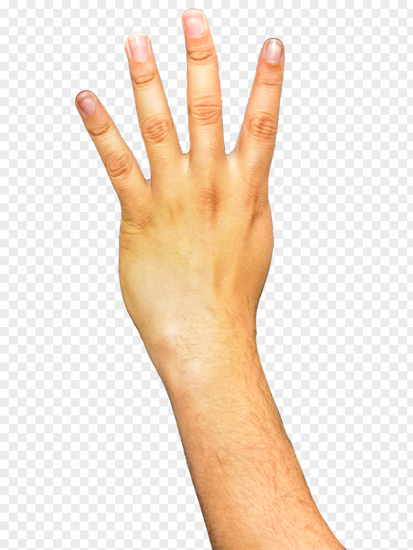 Arm Desktop Wallpaper Finger PNG