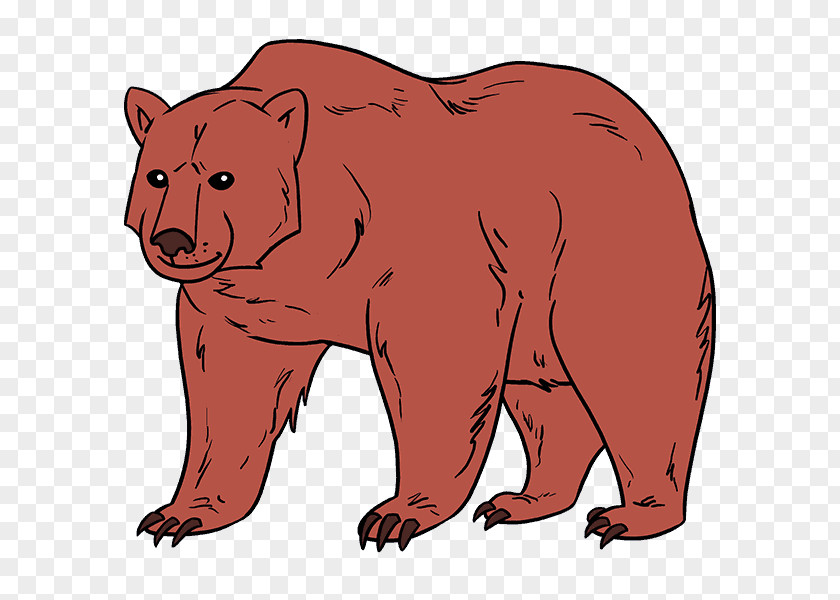 Bear Grizzly Giant Panda Drawing Image PNG