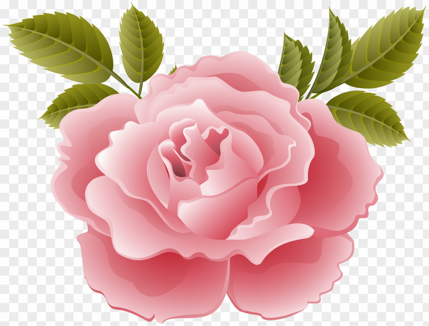 Deco Rose Transparent Clip Art Image NTT DoCoMo Garden Roses KDDI LTE Centifolia PNG