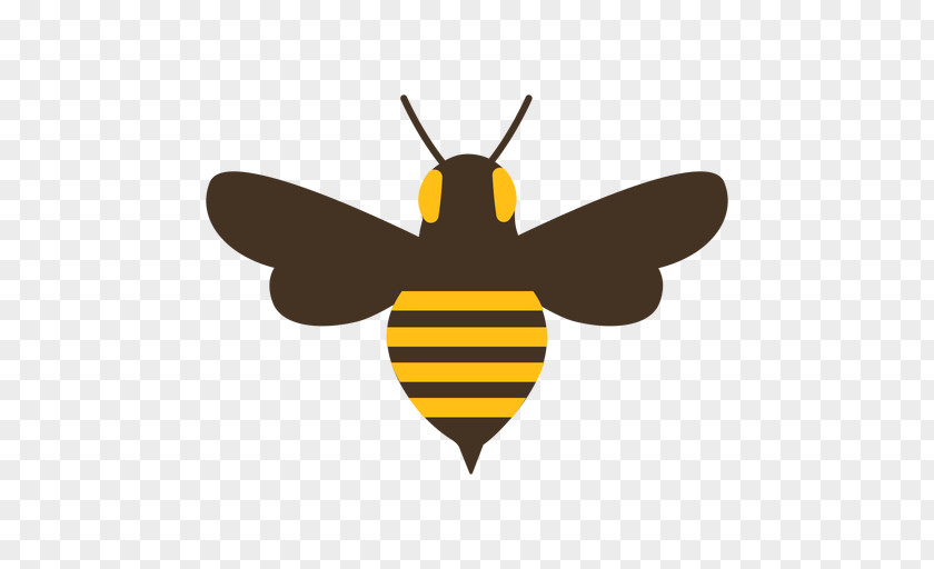 Fly Wing Bee Background PNG