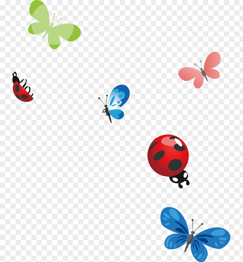 Ladybug Ladybird PNG