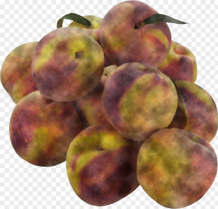 Peach Plum Local Food Apple PNG