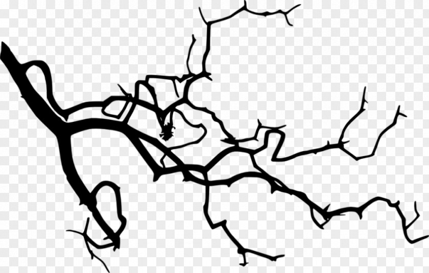 Silhouette Twig Drawing Clip Art PNG