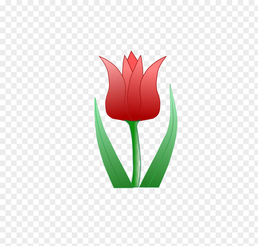 Tulip Flower Clip Art PNG