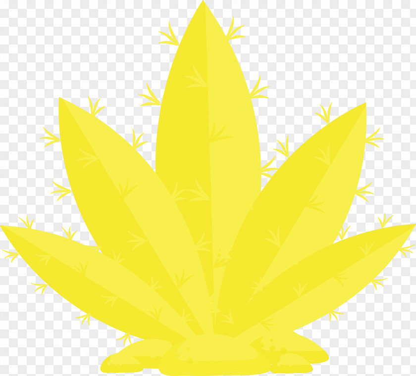 Yellow One Half Logo Media&medio Tree PNG