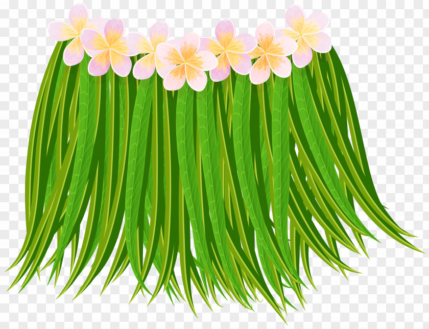 Skirt Insignia Clip Art Image Grass Transparency PNG