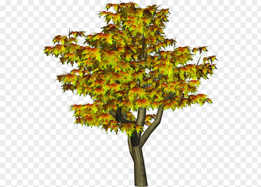 Tree Clip Art Openclipart Image PNG