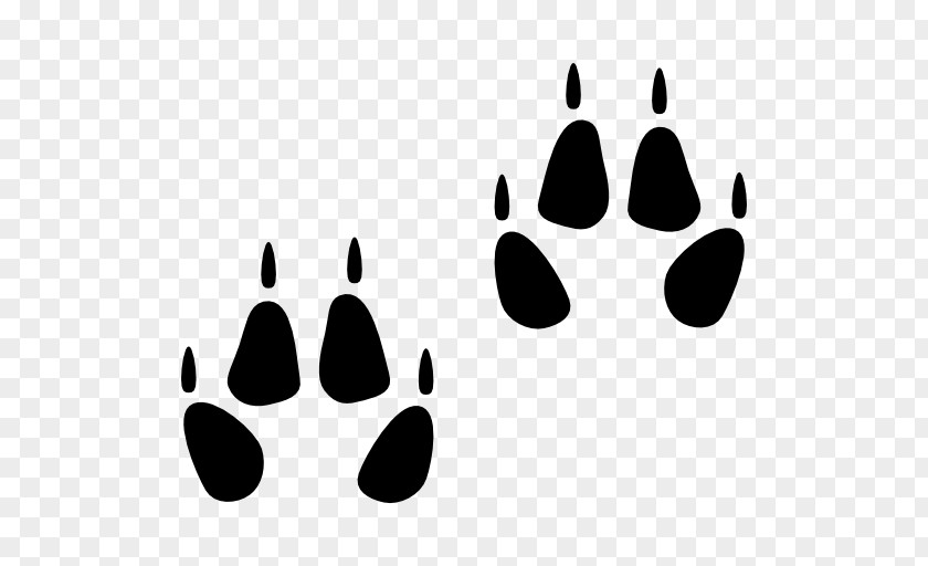 Animal Paw Prints Photography PNG