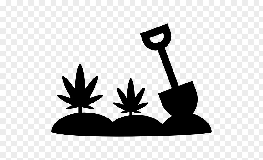 Cannabis Cultivation Hemp Medical PNG