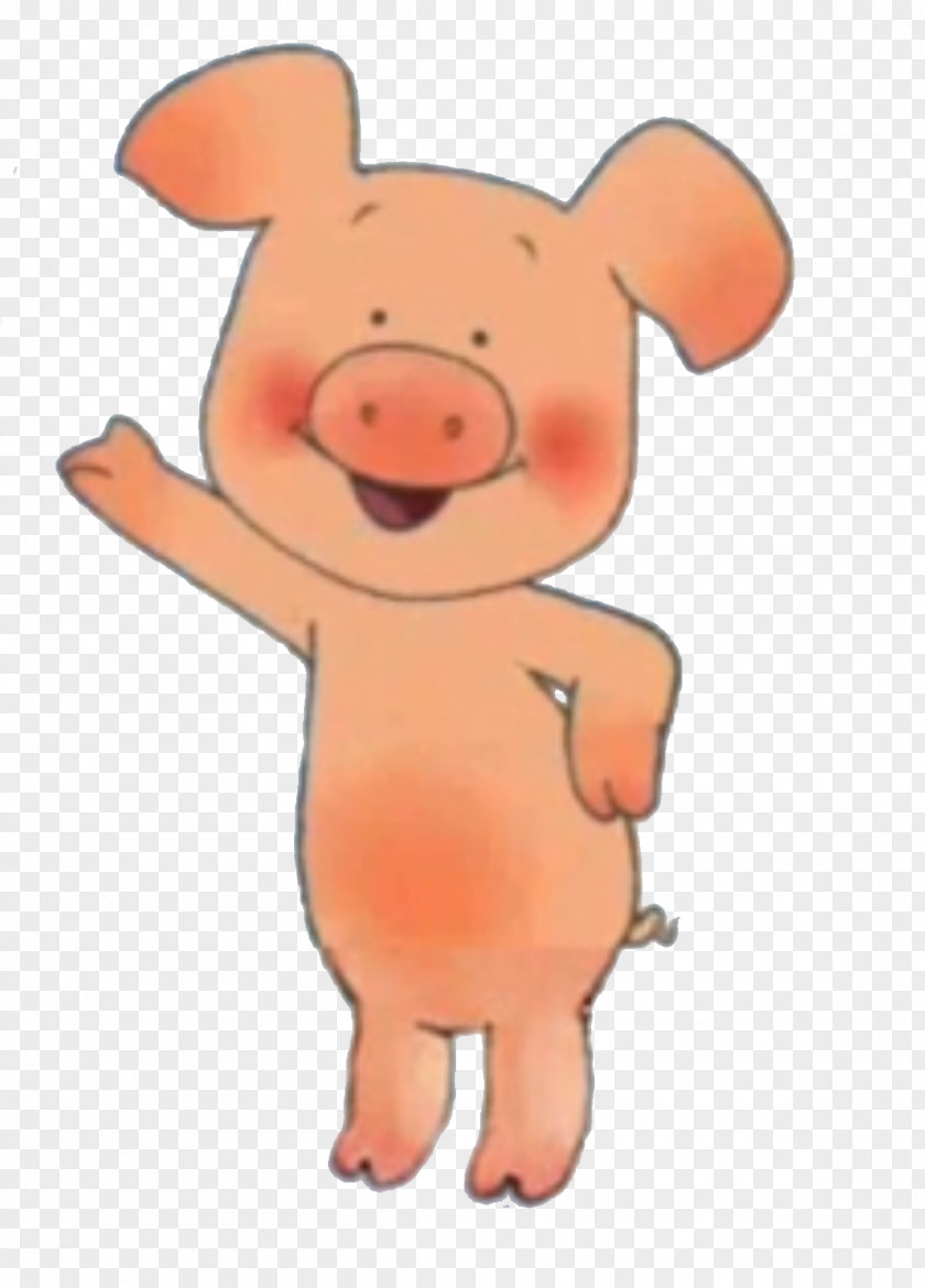 Pig Wibbly Cartoon 9 Story Media Group PNG