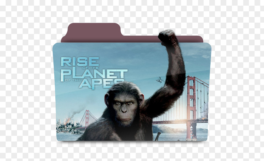 Planet Of The Apes James Franco Rise Film PNG