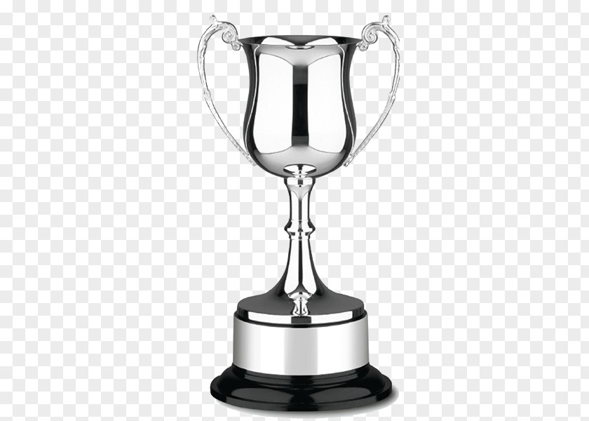 Silver Trophy Witney Centre Cup Award Medal PNG