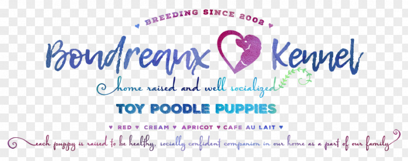 Toy Poodle Banner Brand Logo Line PNG