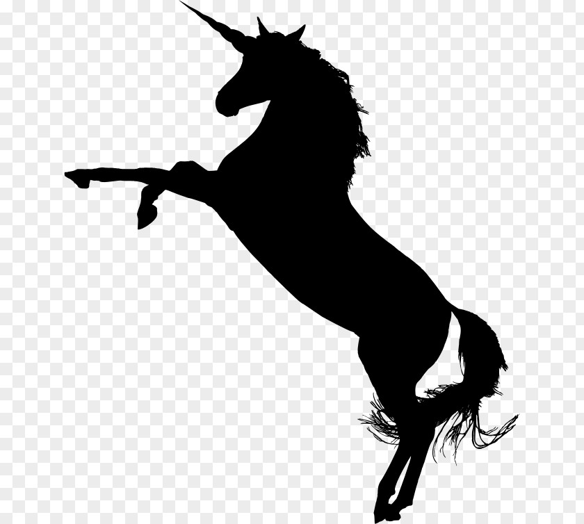 Unicorn Horn Arabian Horse American Quarter Standing Clip Art PNG