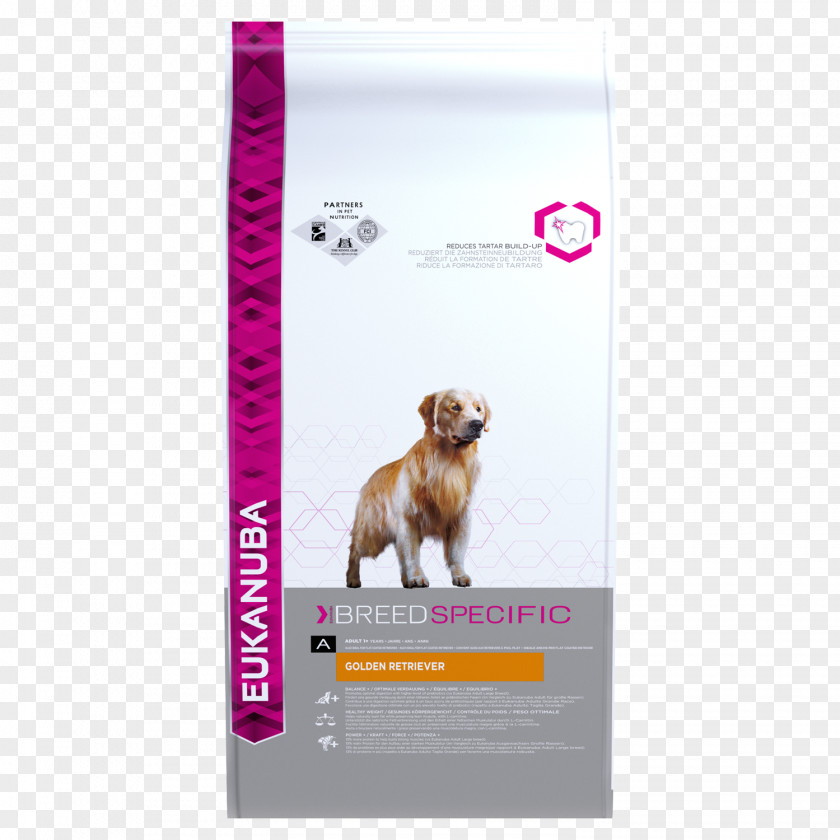 Golden Retriever English Cocker Spaniel Labrador Boxer Dachshund PNG