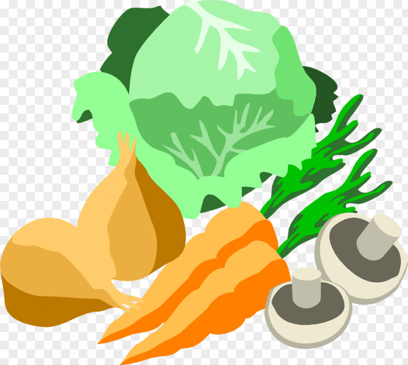 Illustration Vegetable Farming Carrot Food PNG