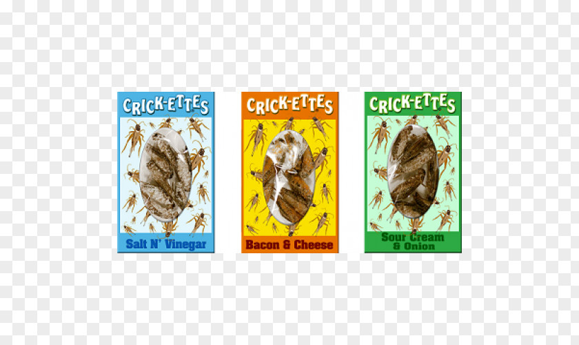 Insect Cricket Flour Food Lollipop PNG