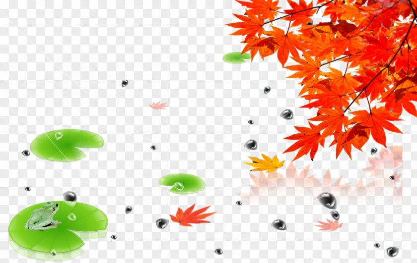 Maple Leaf Autumn Poster PNG