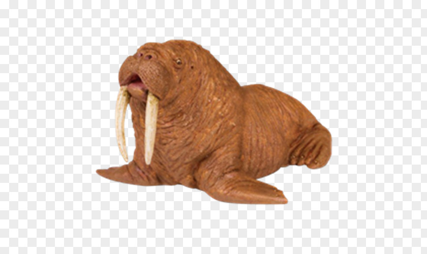 Walrus Safari Ltd Polar Bear Toy PNG