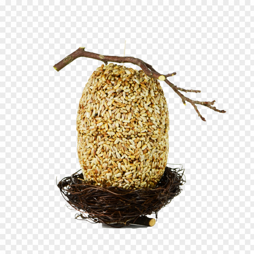 Bird Nest Food PNG