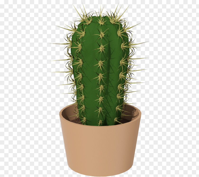 Cactus PNG clipart PNG