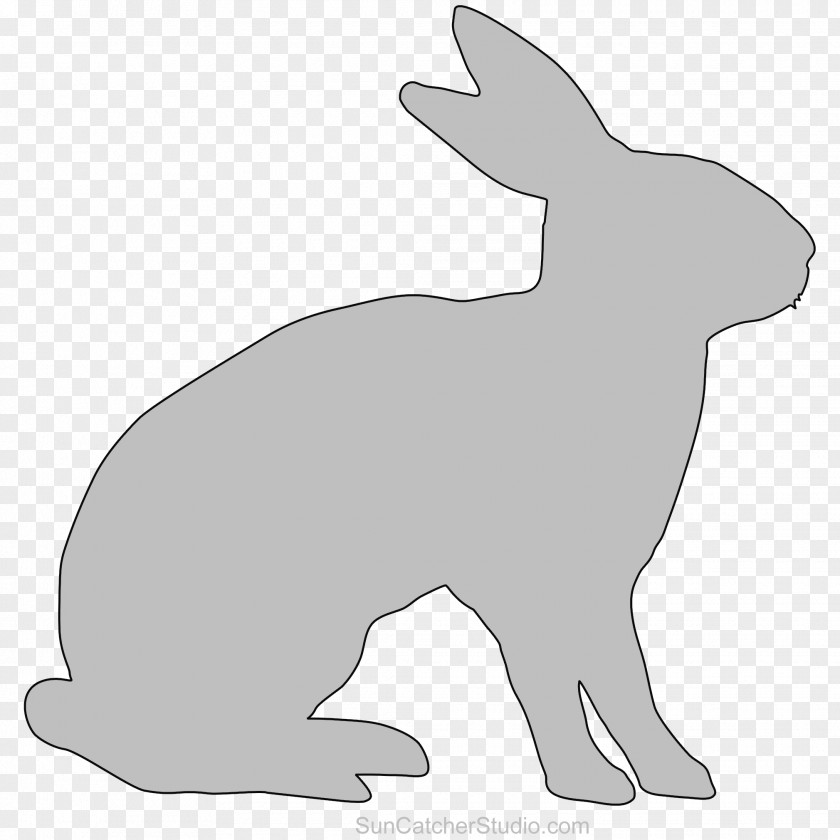 Dog Domestic Rabbit Hare Whiskers Snout PNG