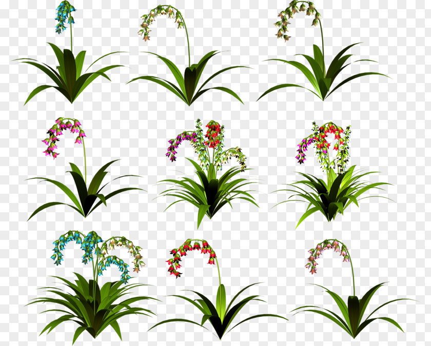 Floral Design Cut Flowers Clip Art PNG