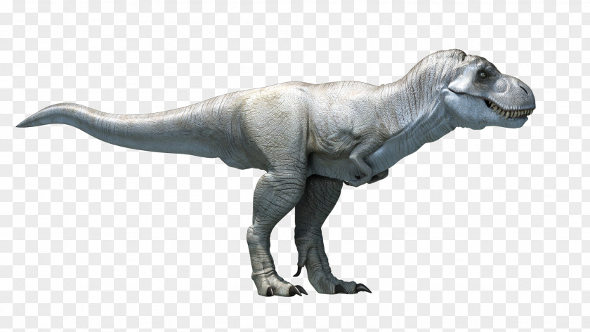 T Rex Tyrannosaurus Dinosaur Talarurus Velociraptor Ankylosaurus PNG