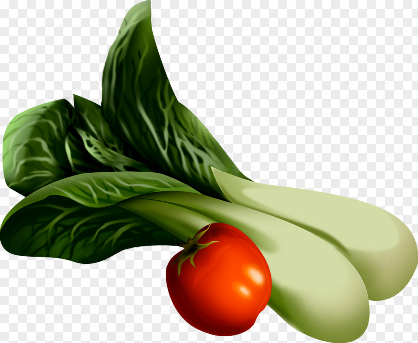 世界地圖 Tomato Vegetable Vegetarian Cuisine Food Chard PNG