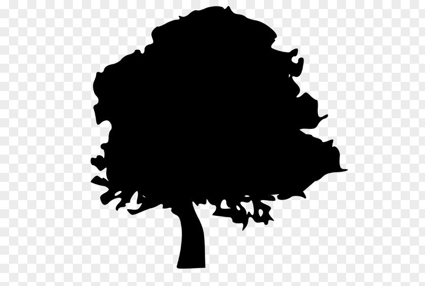 Tree Silhouette Northern Red Oak Clip Art PNG