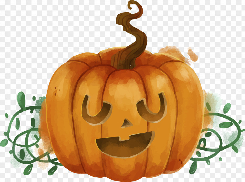 Funny Halloween Pumpkin Head Cartoon Jack-o'-lantern Calabaza Winter Squash Gourd PNG