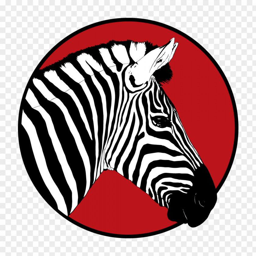 Zebra Clip Art Drawing Illustration PNG