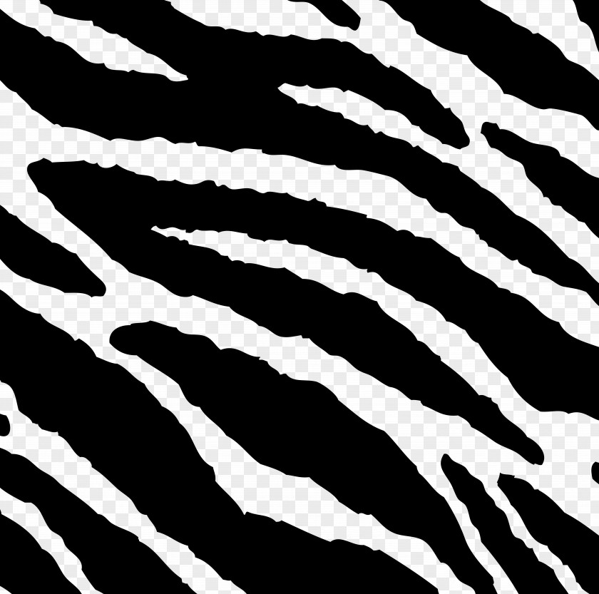 Zebra Tiger Stripe Pattern PNG
