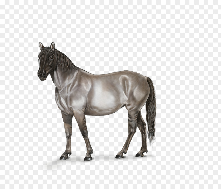 Creative Hand-painted Horse Ferghana Mustang Stallion Mane PNG