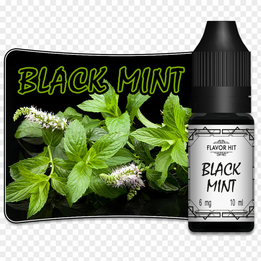 Mint Menthol Electronic Cigarette Aerosol And Liquid Flavor Taste PNG