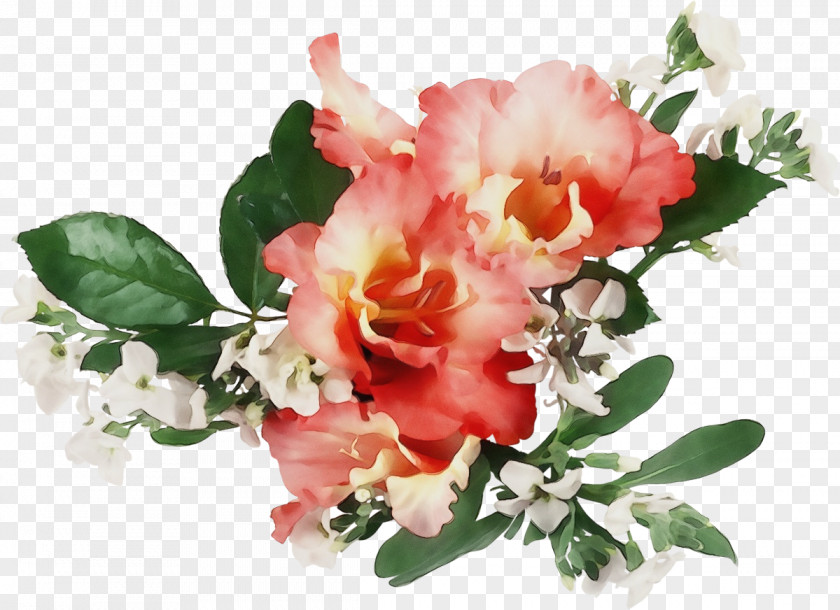 Rhododendron Rose Order Watercolor Pink Flowers PNG
