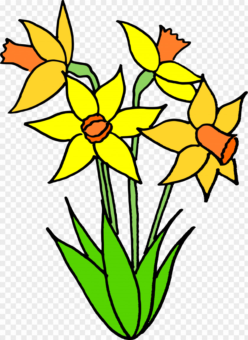 Bulb Floral Design I Wandered Lonely As A Cloud Daffodil Flower PNG