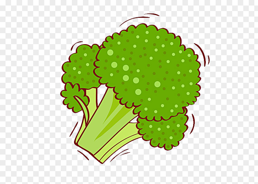 Cauliflower Broccoli Illustration PNG
