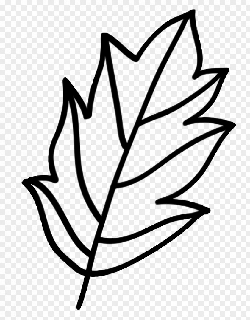 Drawing Coloring Book Flower Line Art PNG